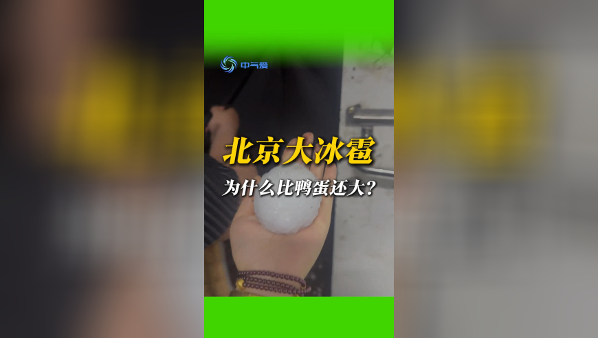 2019香港免费资料,海尔总裁周云杰意外走红,展开解析落实_探索版V5.55